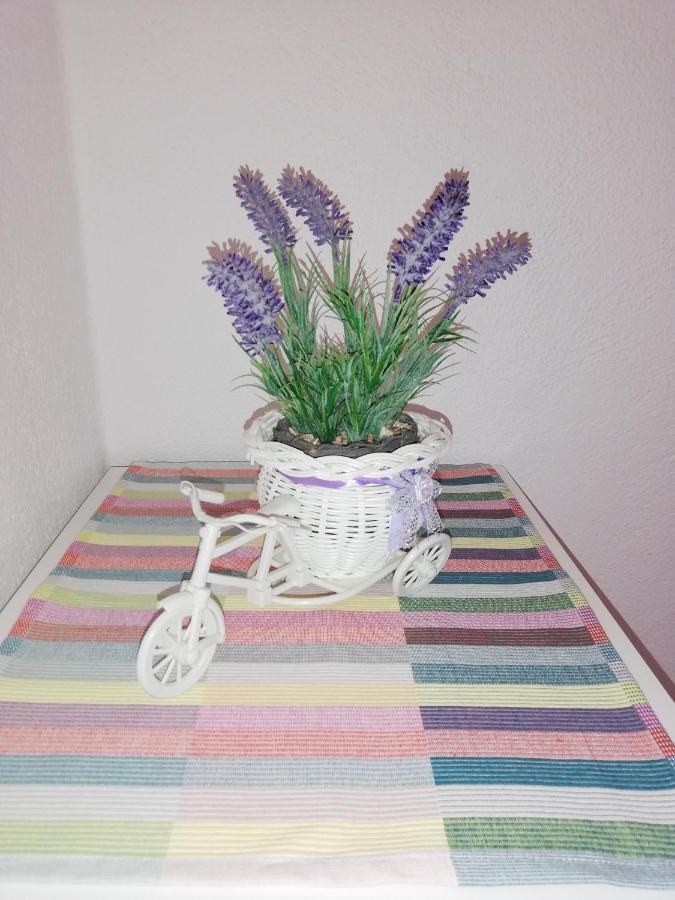 Apartment Pecarevic - A Holiday With A Stunning View Vis Bagian luar foto