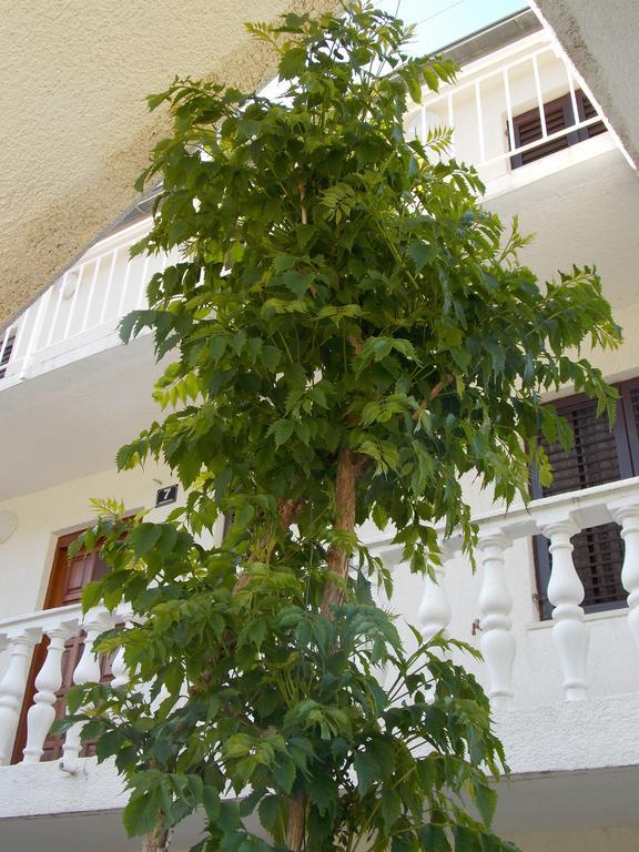 Apartment Pecarevic - A Holiday With A Stunning View Vis Bagian luar foto
